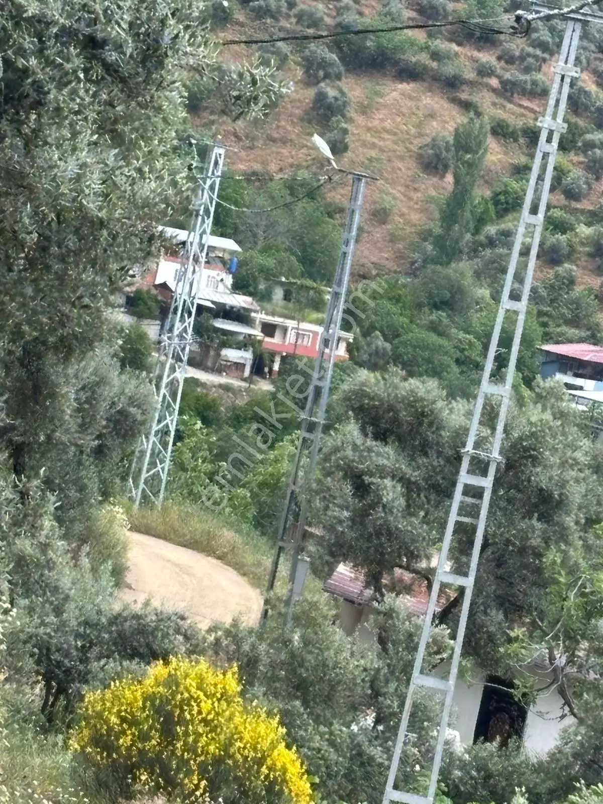 Nazilli Bağcıllı'da Satılık 2019 M² Verimli Bağ Ve Bahçe — fotoğraf 5