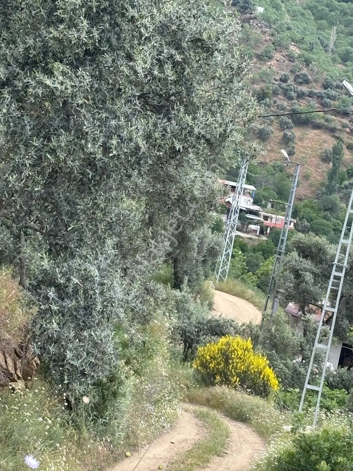 Nazilli Bağcıllı'da Satılık 2019 M² Verimli Bağ Ve Bahçe — fotoğraf 6