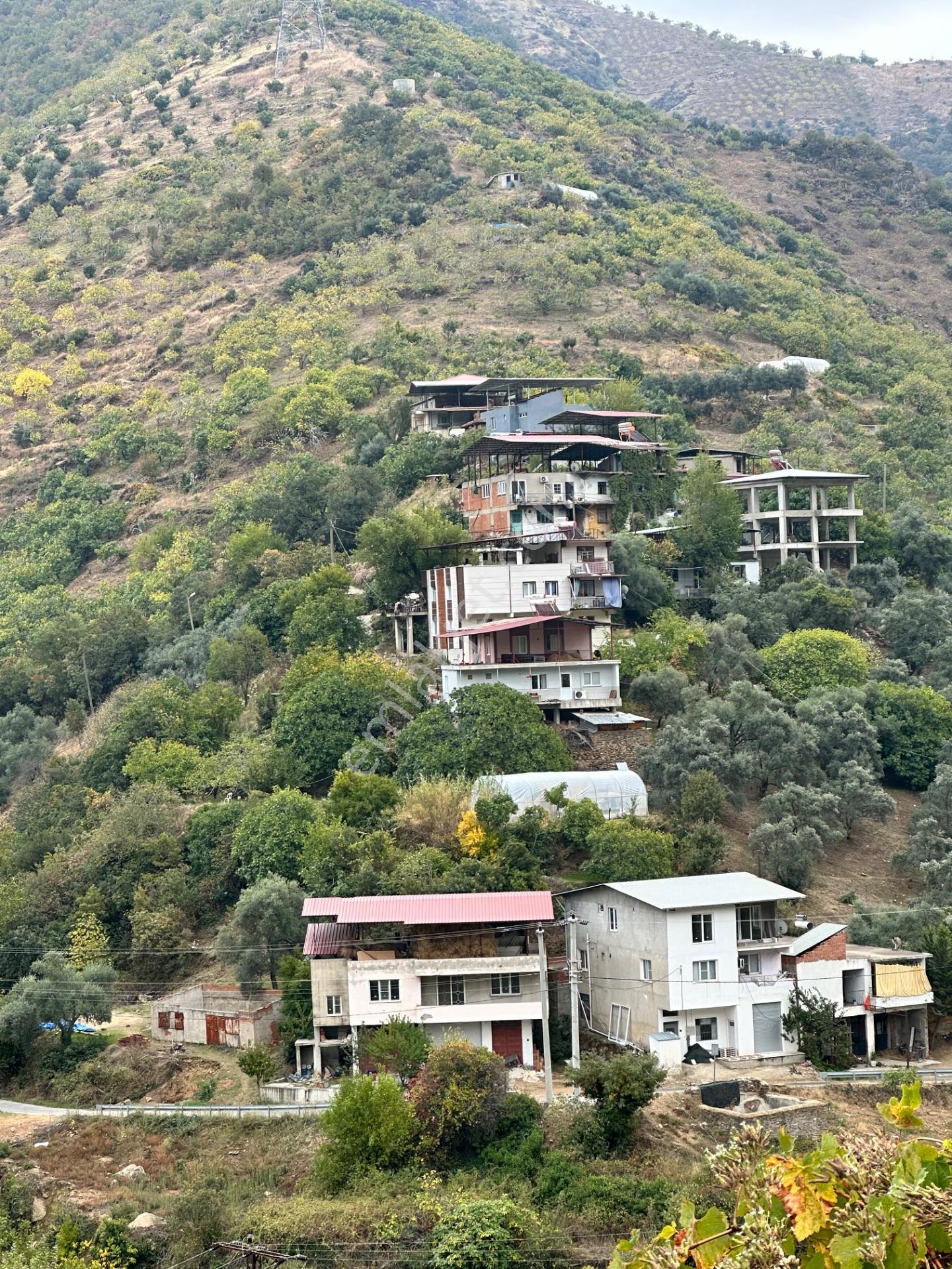 Nazilli Bağcıllı'da Satılık 2019 M² Verimli Bağ Ve Bahçe — fotoğraf 7