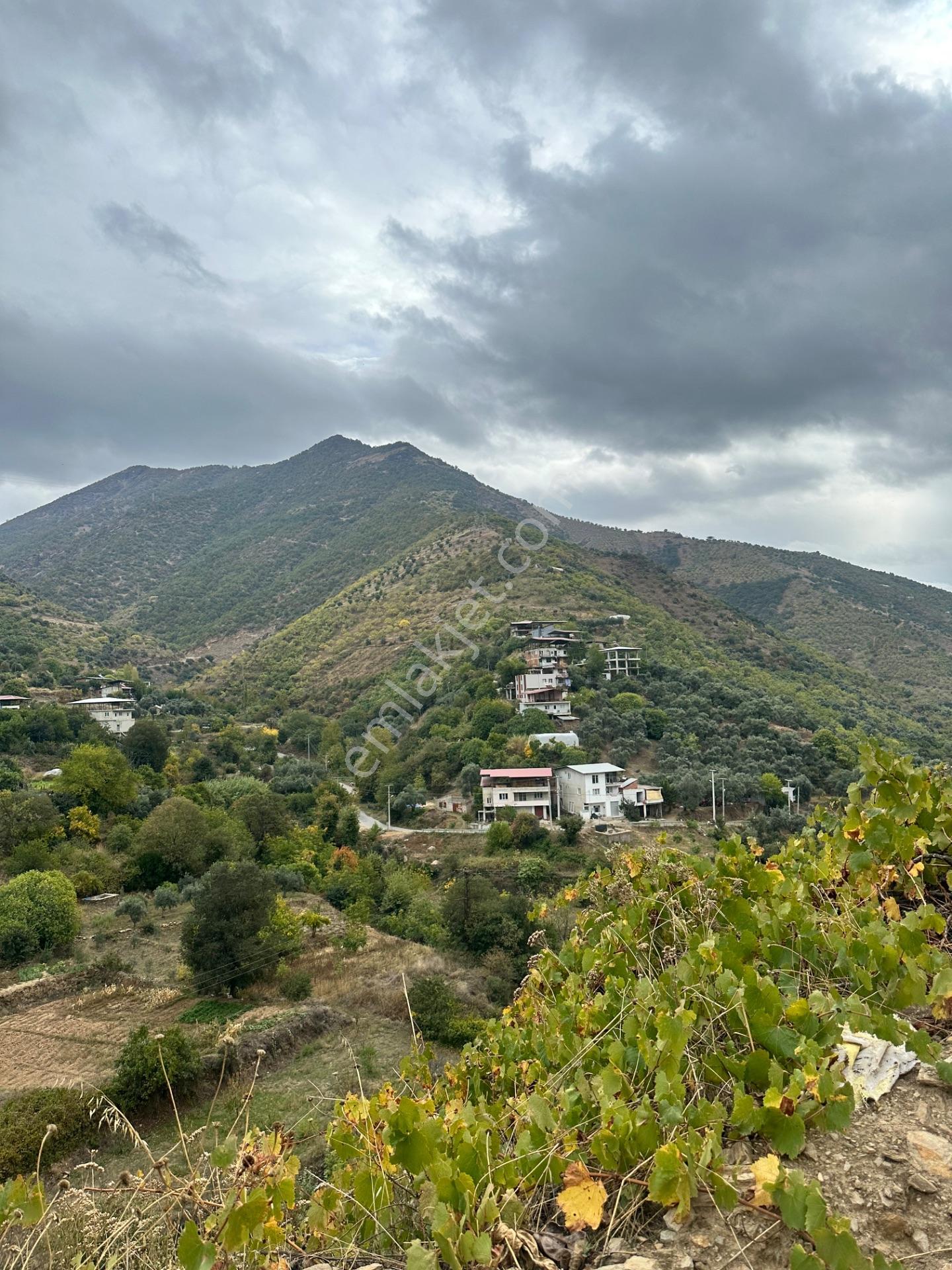 Nazilli Bağcıllı'da Satılık 2019 M² Verimli Bağ Ve Bahçe — fotoğraf 8