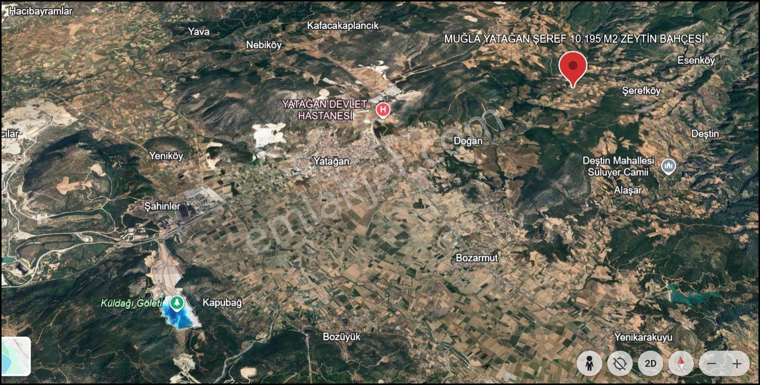 Muğla Yatağan Şeref Köyü Zeytin Bahçesi 2 Parsel Birlikte Satılık — fotoğraf 29