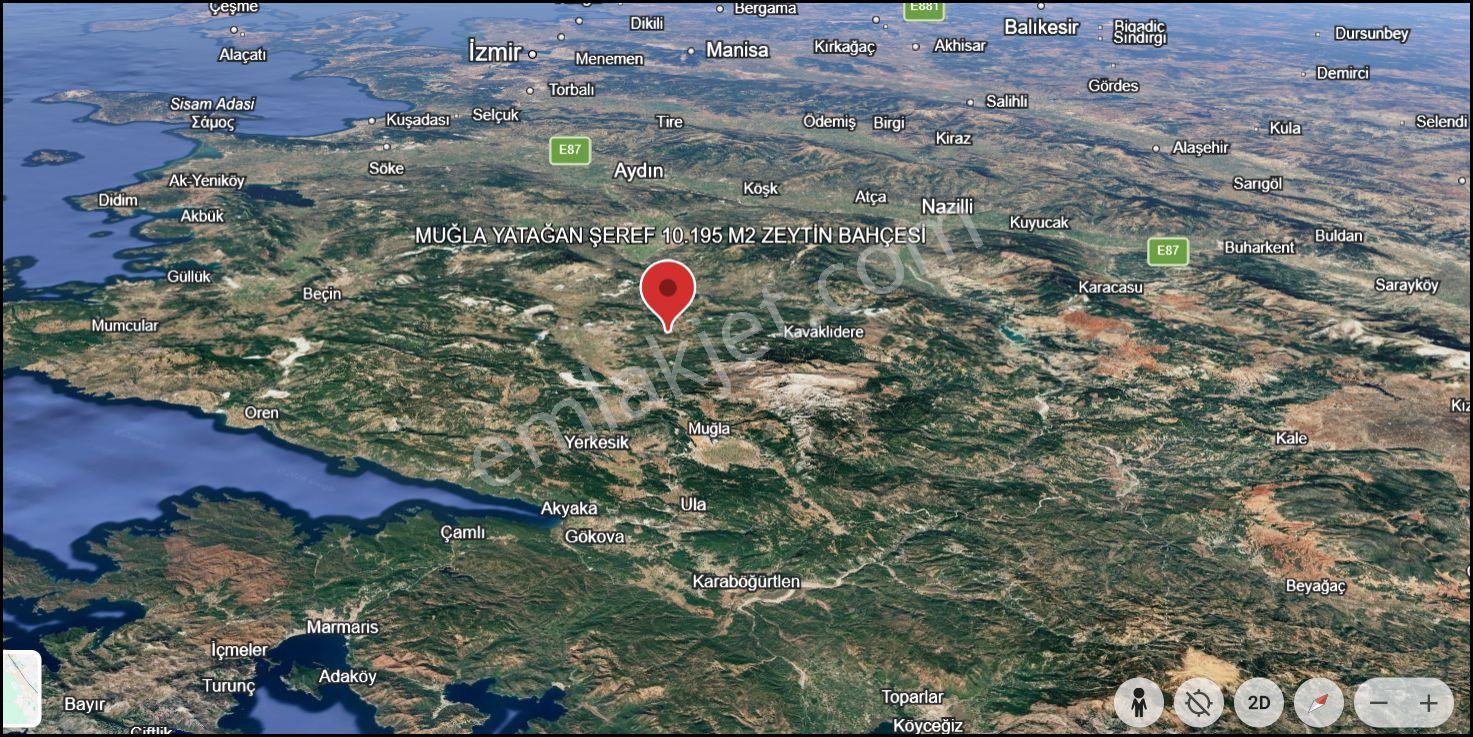 Muğla Yatağan Şeref Köyü Zeytin Bahçesi 2 Parsel Birlikte Satılık — fotoğraf 35