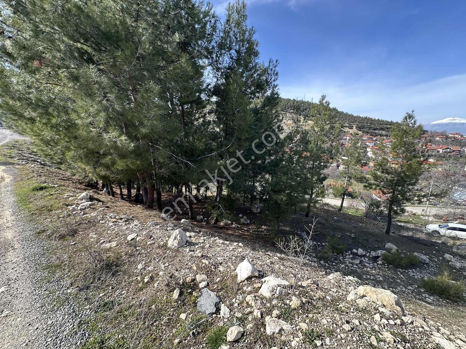 Denizli Acıpayam Yukarı Mahallesi 2 Kat 447m2 Satılık Arsa — fotoğraf 12