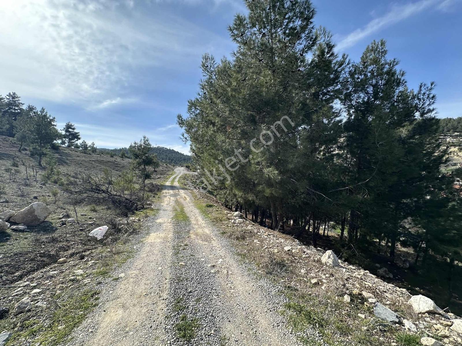 Denizli Acıpayam Yukarı Mahallesi 2 Kat 447m2 Satılık Arsa — fotoğraf 13