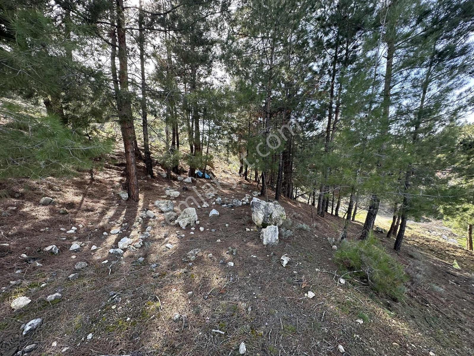 Denizli Acıpayam Yukarı Mahallesi 2 Kat 447m2 Satılık Arsa — fotoğraf 14