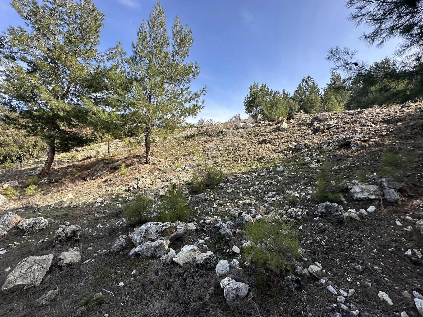 Denizli Acıpayam Yukarı Mahallesi 2 Kat 447m2 Satılık Arsa — fotoğraf 17