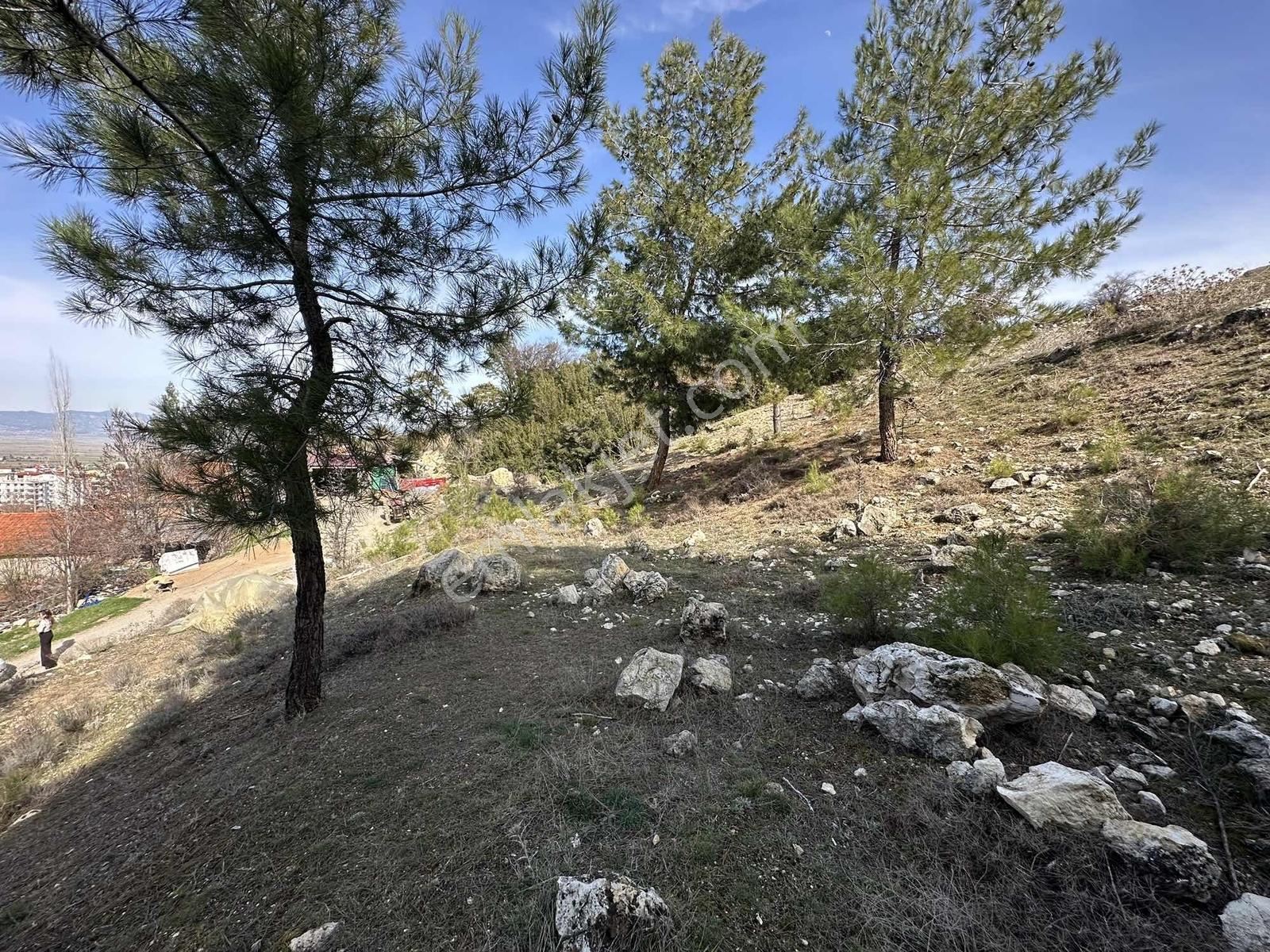 Denizli Acıpayam Yukarı Mahallesi 2 Kat 447m2 Satılık Arsa — fotoğraf 18