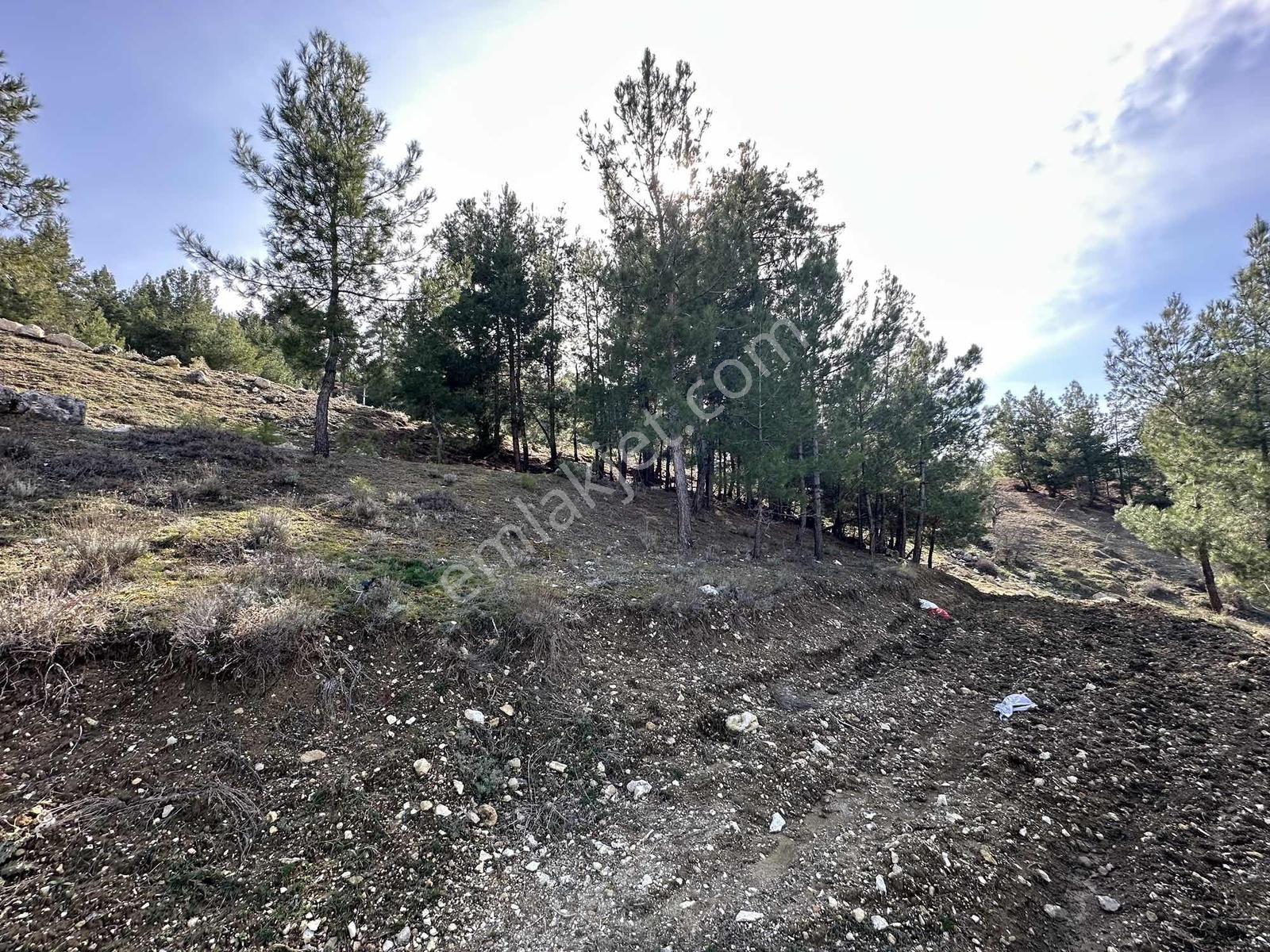 Denizli Acıpayam Yukarı Mahallesi 2 Kat 447m2 Satılık Arsa — fotoğraf 19