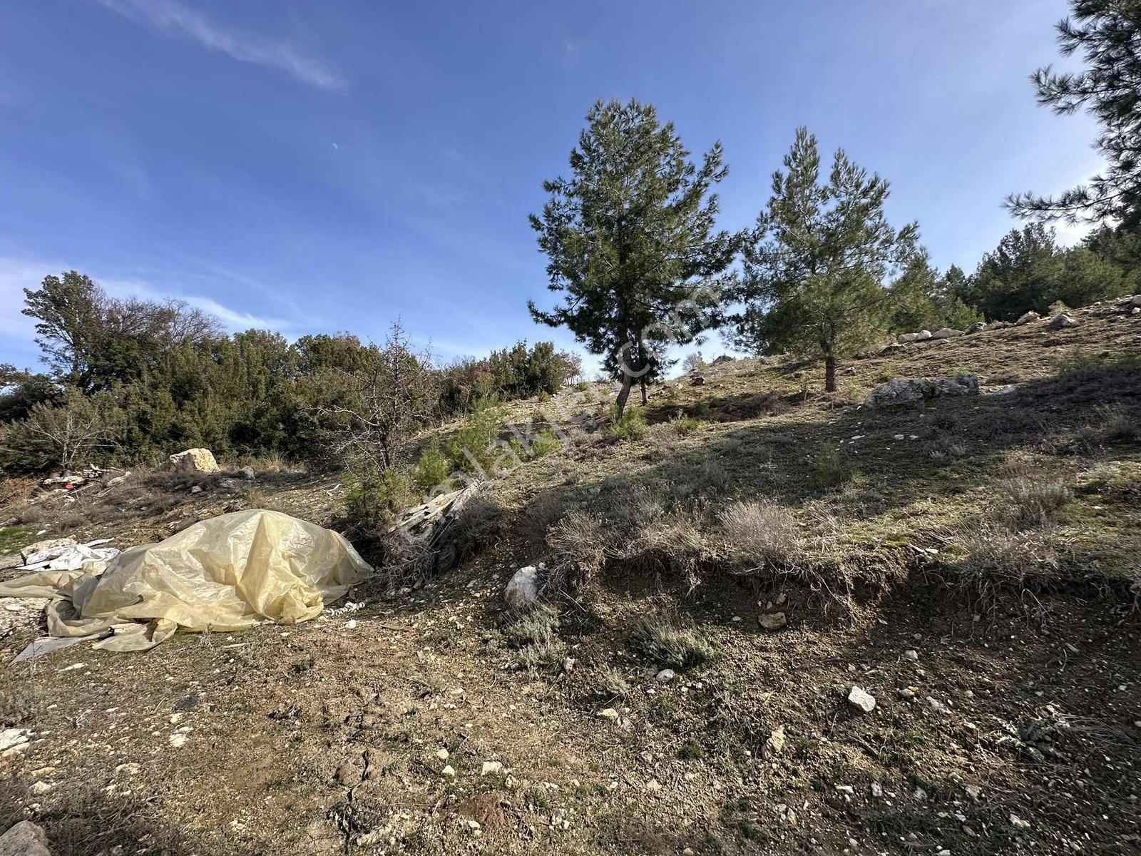 Denizli Acıpayam Yukarı Mahallesi 2 Kat 447m2 Satılık Arsa — fotoğraf 20