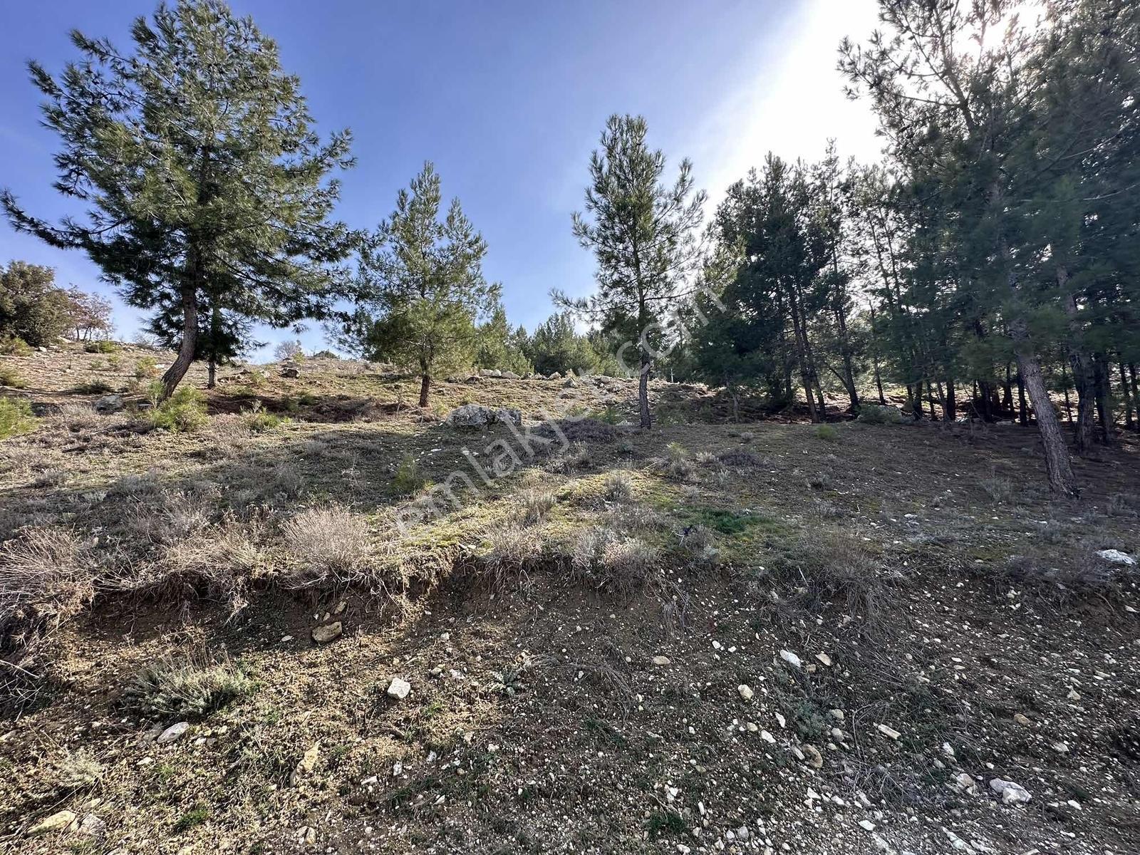 Denizli Acıpayam Yukarı Mahallesi 2 Kat 447m2 Satılık Arsa — fotoğraf 21