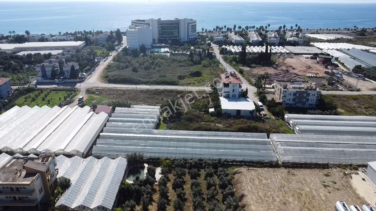 Alanya Payallarda Satılık Denize Yakın Yatırımlık Arsa — fotoğraf 5