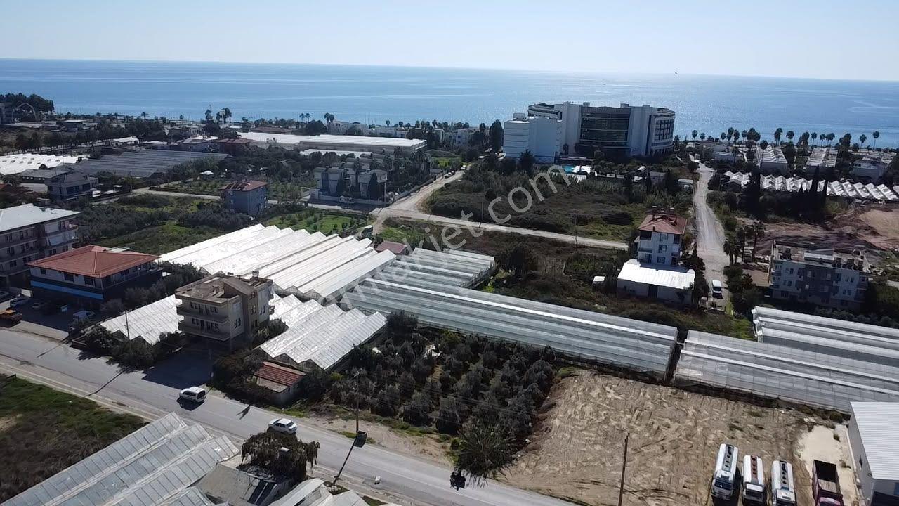 Alanya Payallarda Satılık Denize Yakın Yatırımlık Arsa — fotoğraf 6