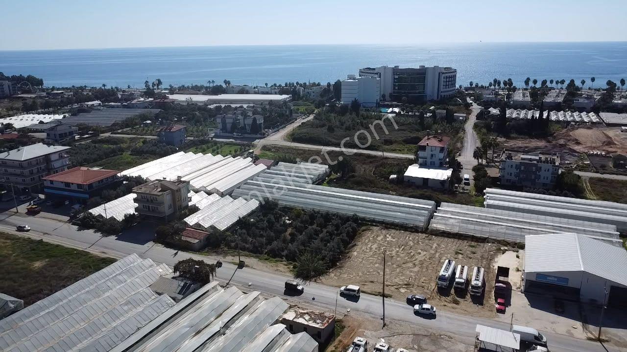 Alanya Payallarda Satılık Denize Yakın Yatırımlık Arsa — fotoğraf 7
