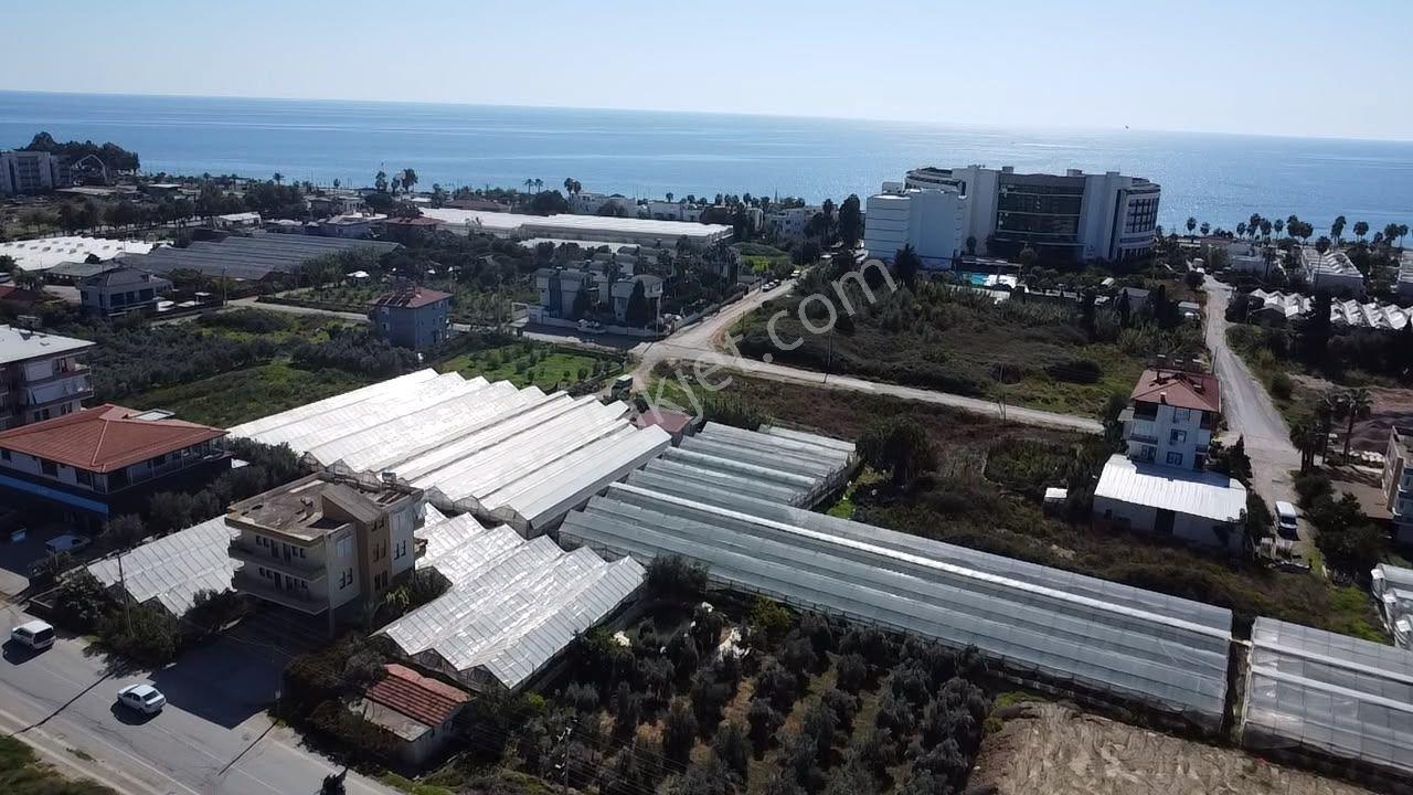 Alanya Payallarda Satılık Denize Yakın Yatırımlık Arsa — fotoğraf 9