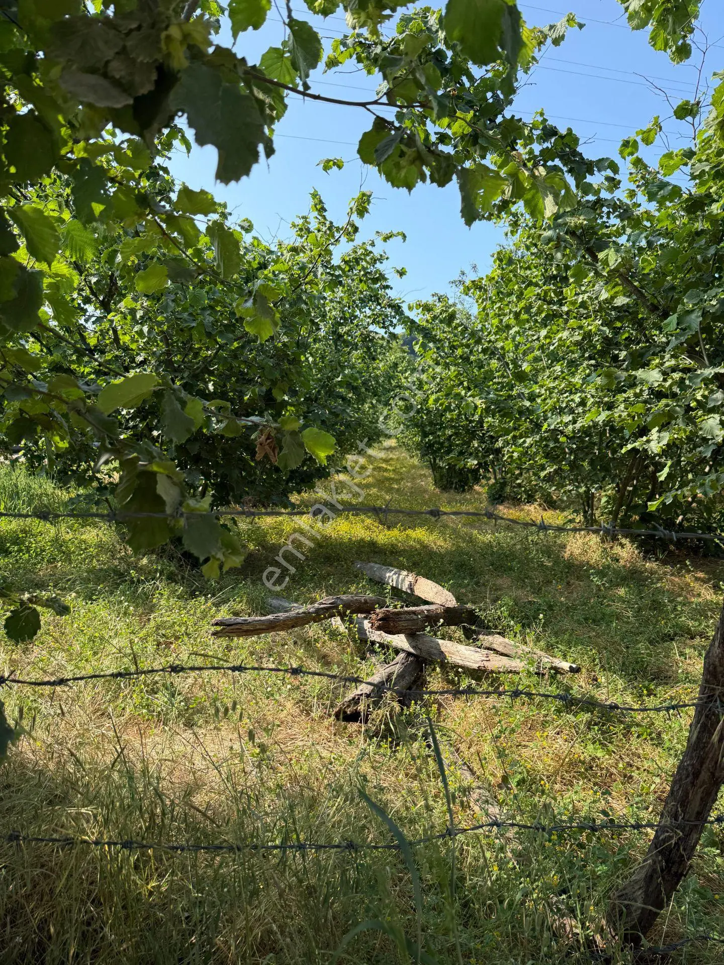 Aslımemlak'tan Çilimli Sarımeşe De Fırsat Arazi 2448 M2 — fotoğraf 2