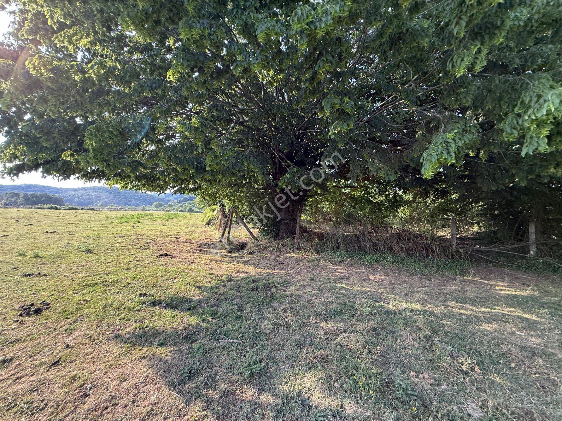 Aslımemlak'tan Çilimli Sarımeşe De Fırsat Arazi 2448 M2 — fotoğraf 9