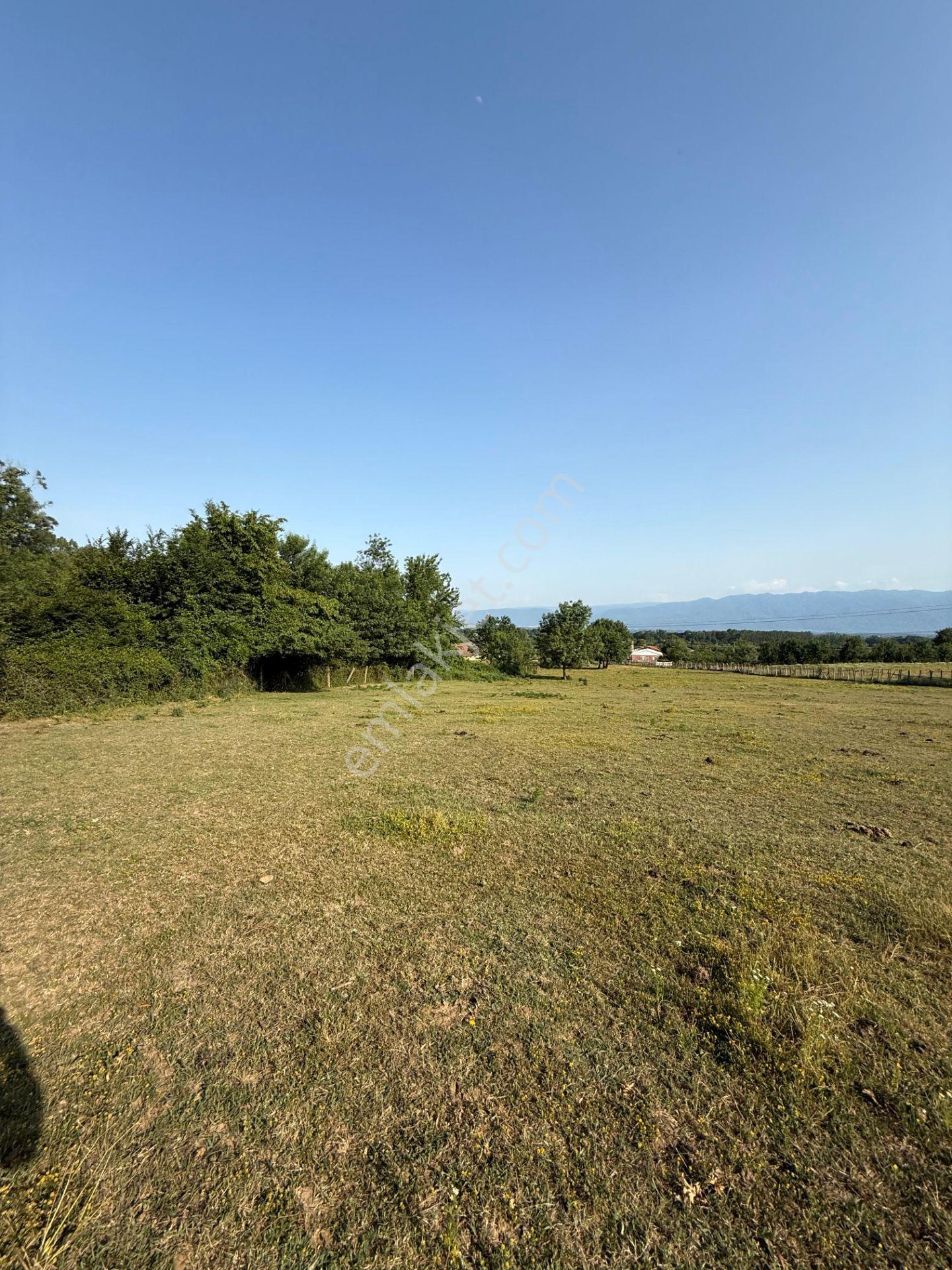 Aslımemlak'tan Çilimli Sarımeşe De Fırsat Arazi 2448 M2 — fotoğraf 11