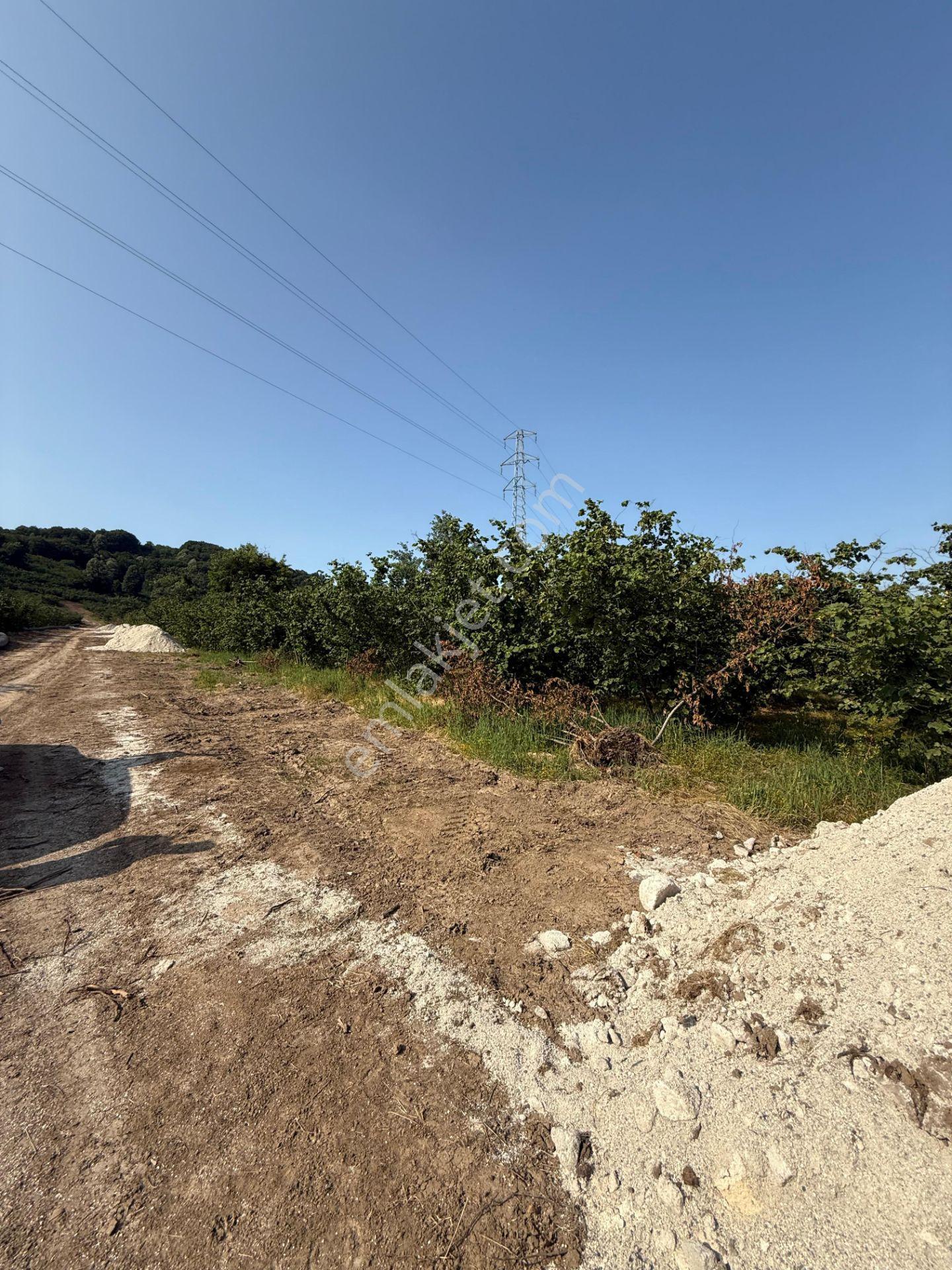 Aslımemlak'tan Çilimli Sarımeşe De Fırsat Arazi 2448 M2 — fotoğraf 12