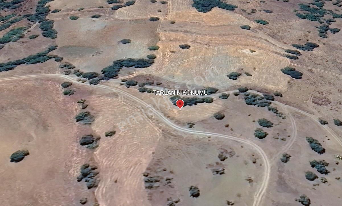 Fırsat Tek Tapu Satılık 1.401 M2 Tarla Dursunbey/balıkesir — fotoğraf 7