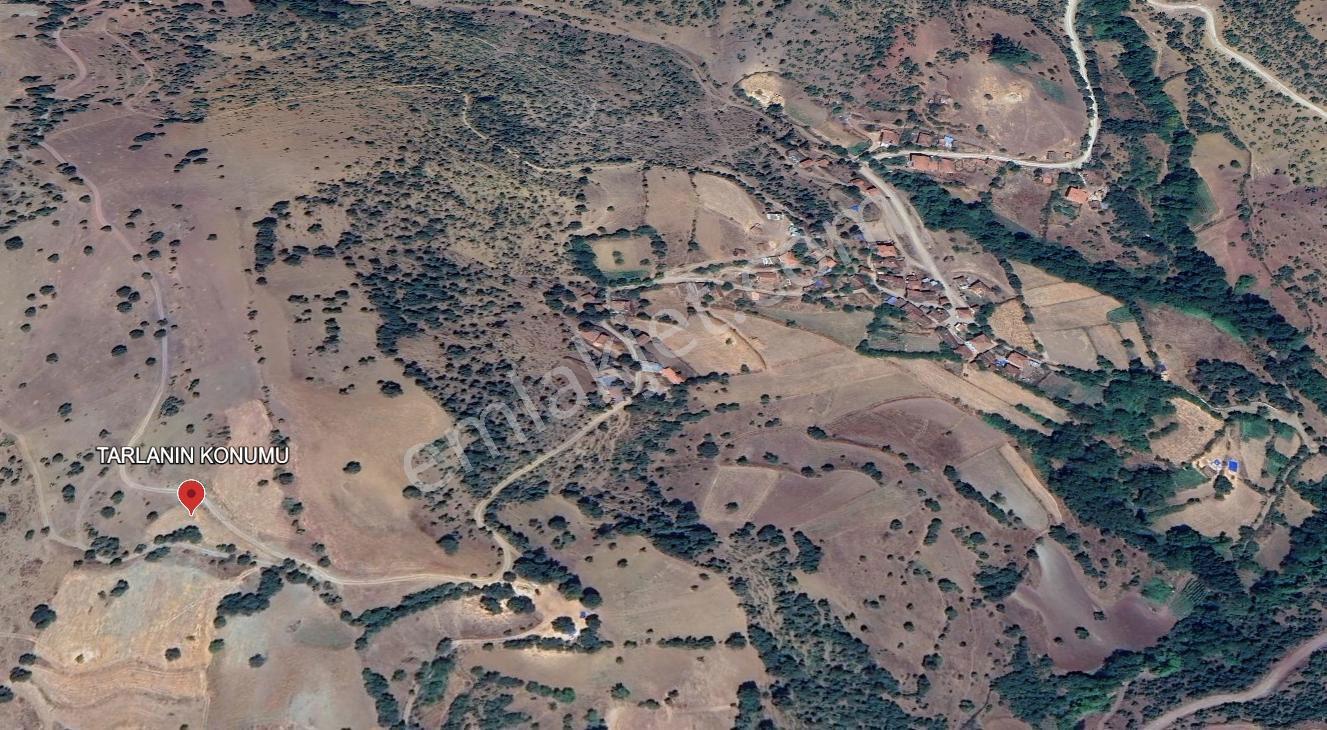 Fırsat Tek Tapu Satılık 1.401 M2 Tarla Dursunbey/balıkesir — fotoğraf 8