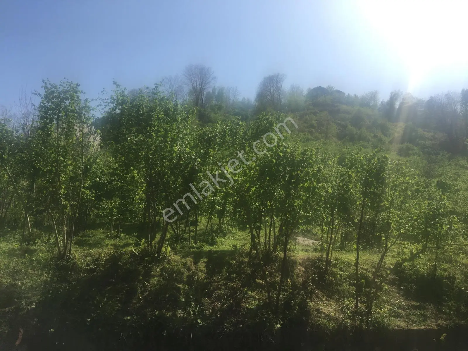 Özgür Emlak'tan Harika Konumda Full Deniz Manzaralı Yatırımlık — fotoğraf 5