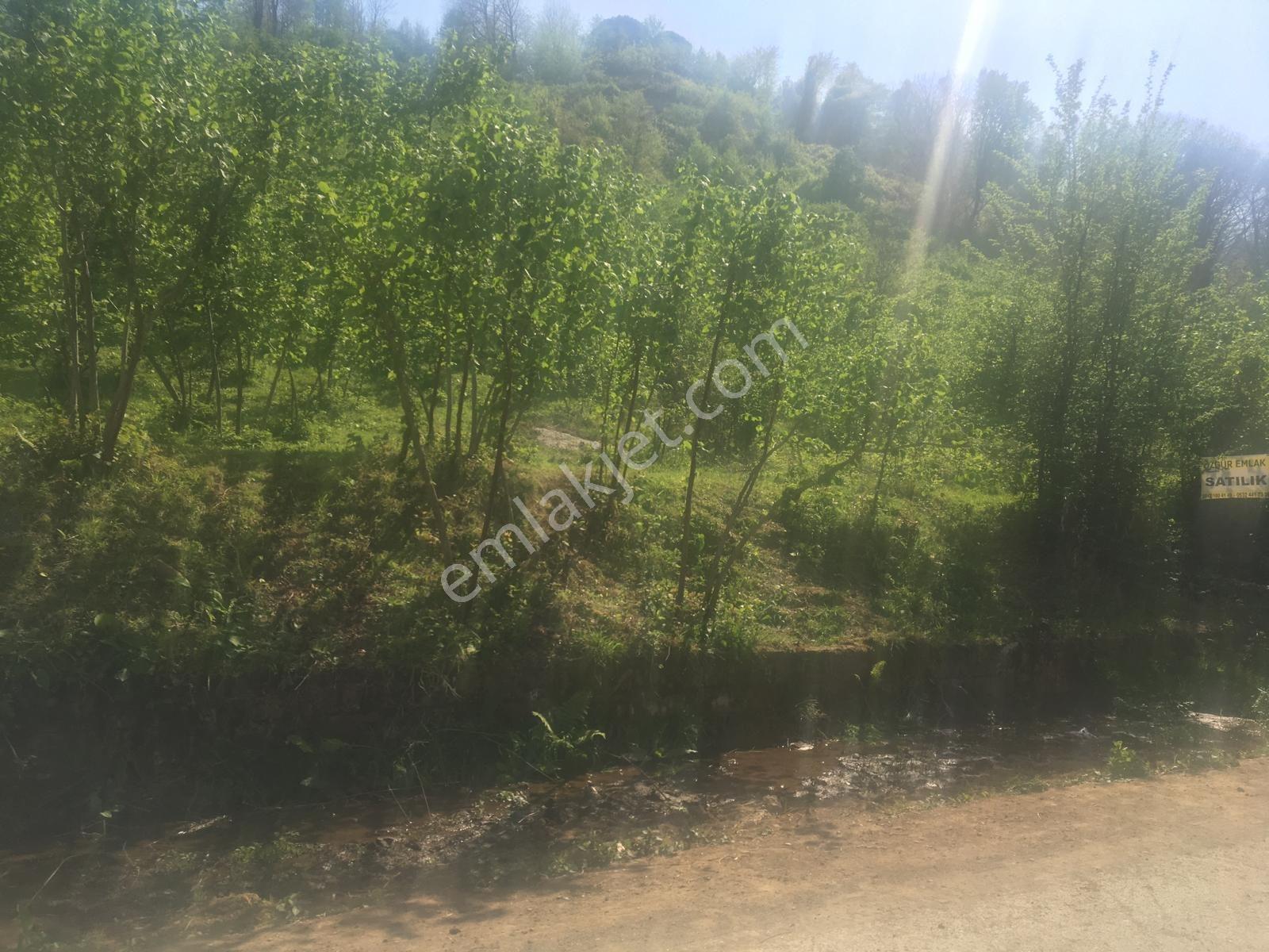 Özgür Emlak'tan Harika Konumda Full Deniz Manzaralı Yatırımlık — fotoğraf 6