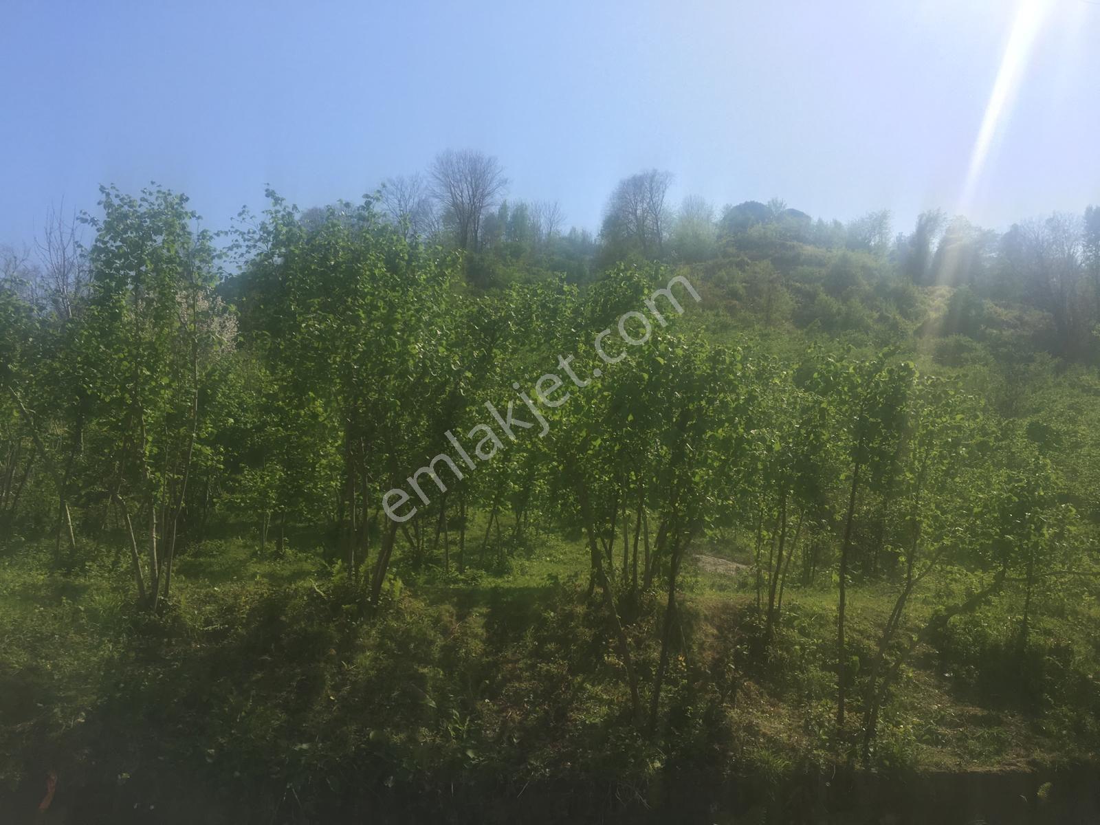 Özgür Emlak'tan Harika Konumda Full Deniz Manzaralı Yatırımlık — fotoğraf 7