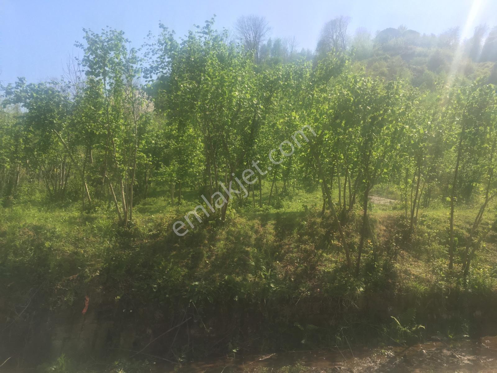 Özgür Emlak'tan Harika Konumda Full Deniz Manzaralı Yatırımlık — fotoğraf 9