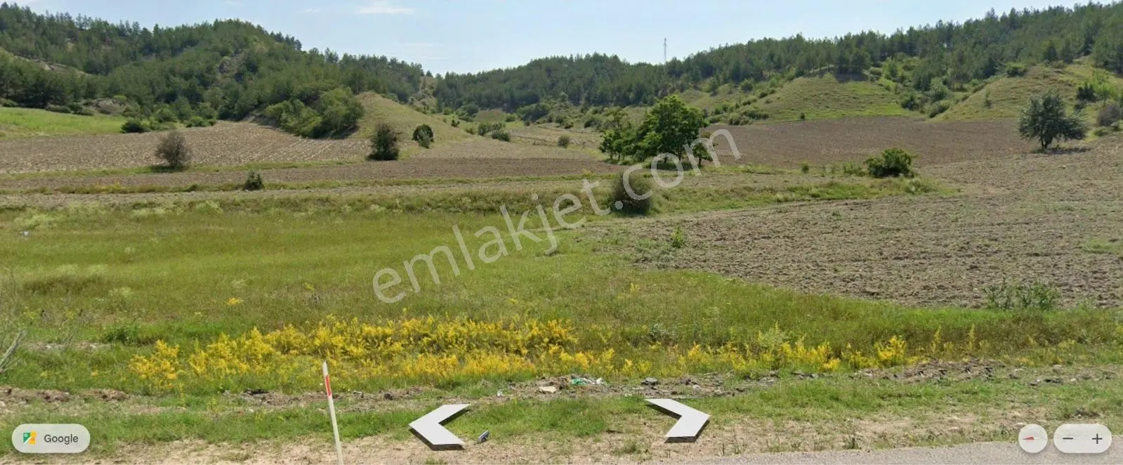 Wisrem Safranboludan Eskipazar Ankara Yolu Üzeri Satılık Tarla — fotoğraf 8