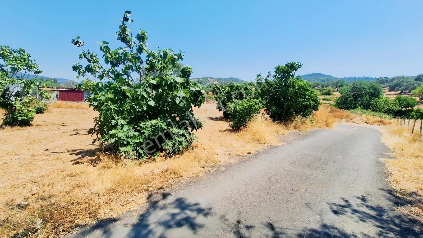 Bodrum Yalıçiftlik'te Satılık 580 M2 %40 İmarlı Arsa — fotoğraf 7