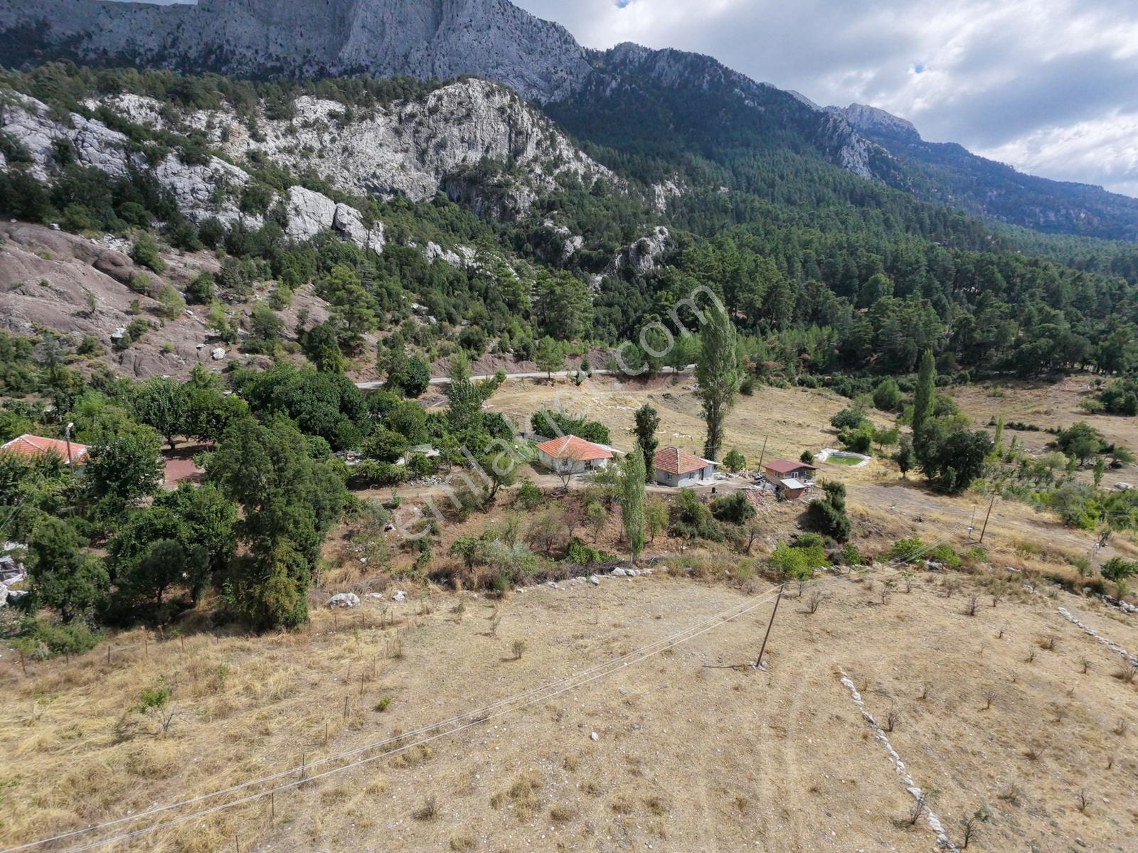 Msi Gayrimenkulden Kumluca Gölcük Mahallesinde Satılık Tarla — fotoğraf 14
