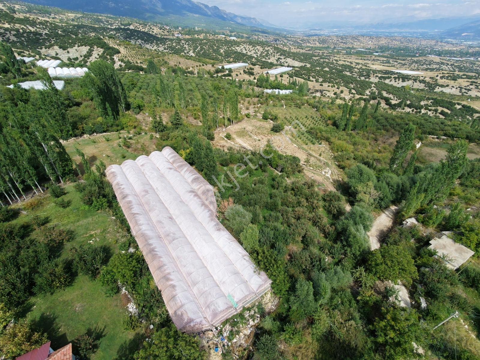 Msi Gayrimenkul'Den Yayla Belenlide Müstakil Tapulu Arsa Ve Sera