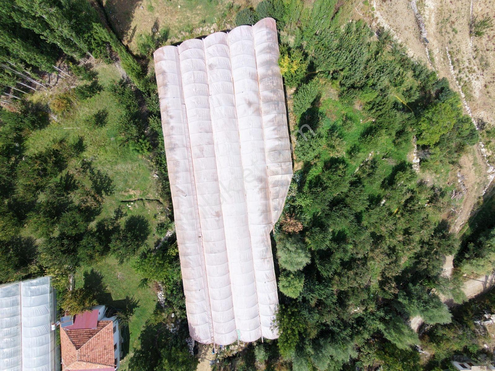 Msi Gayrimenkul'den Yayla Belenlide Müstakil Tapulu Arsa Ve Sera — fotoğraf 2