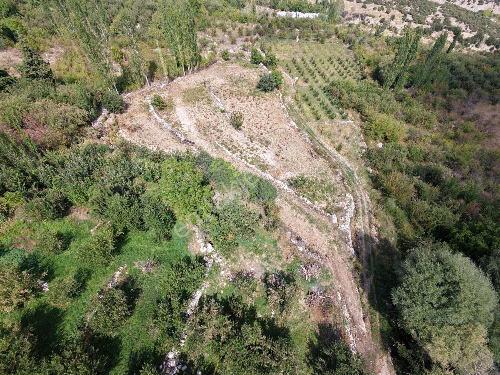Msi Gayrimenkul'den Yayla Belenlide Müstakil Tapulu Arsa Ve Sera — fotoğraf 3