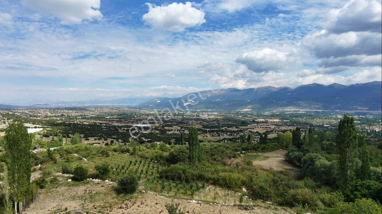 Msi Gayrimenkul'den Yayla Belenlide Müstakil Tapulu Arsa Ve Sera — fotoğraf 4