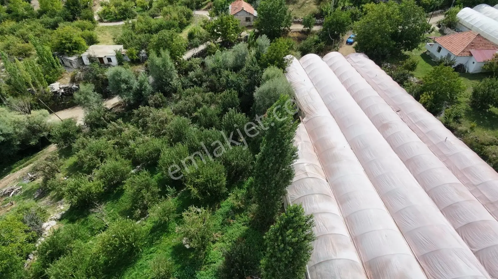 Msi Gayrimenkul'den Yayla Belenlide Müstakil Tapulu Arsa Ve Sera — fotoğraf 5
