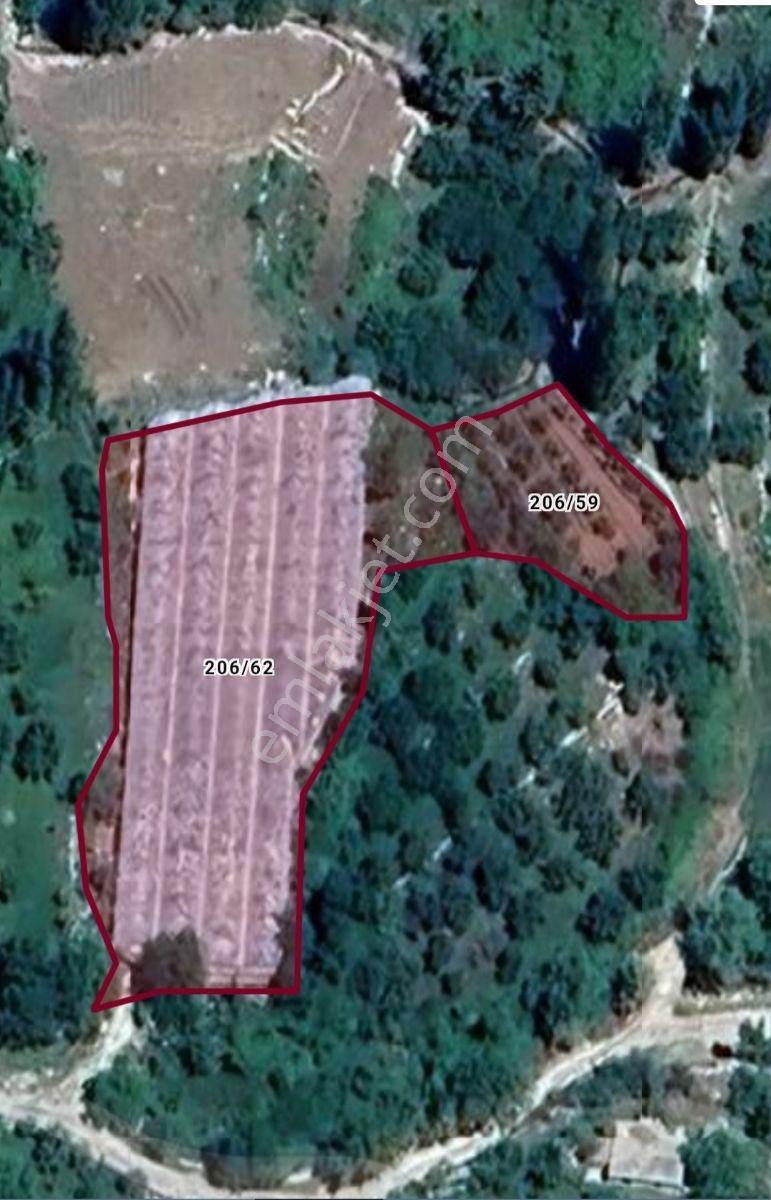 Msi Gayrimenkul'den Yayla Belenlide Müstakil Tapulu Arsa Ve Sera — fotoğraf 6