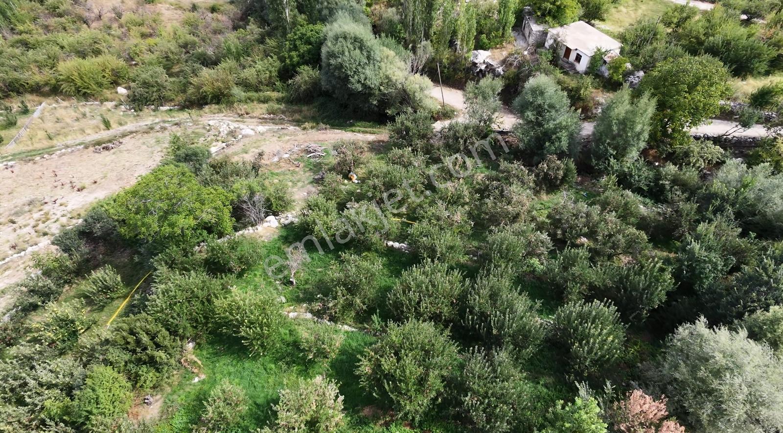 Msi Gayrimenkul'den Yayla Belenlide Müstakil Tapulu Arsa Ve Sera — fotoğraf 8