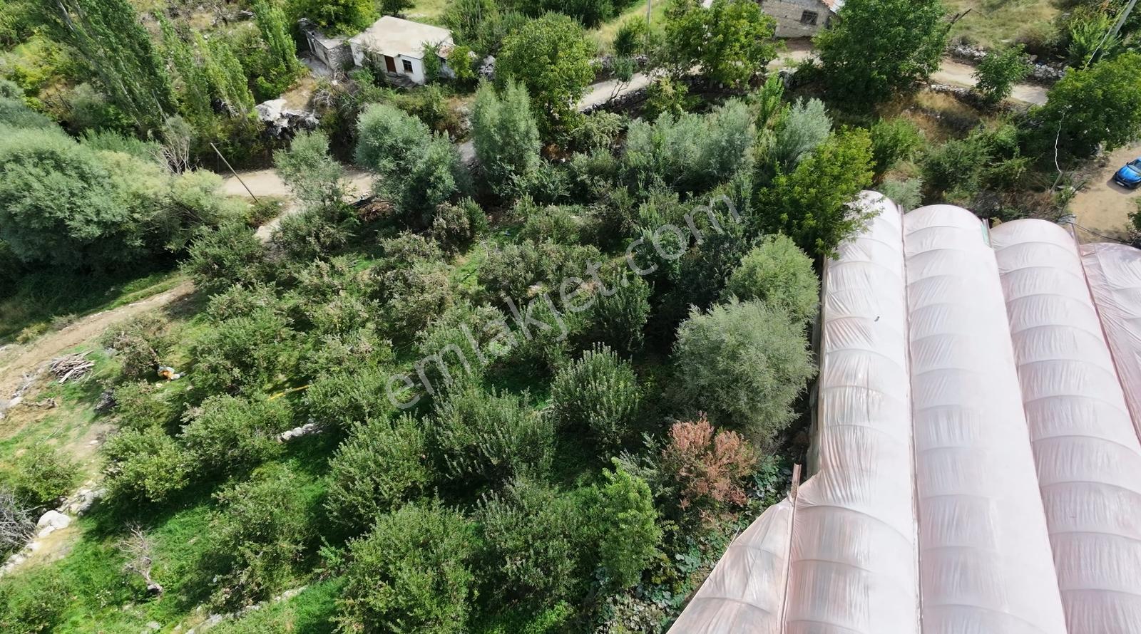Msi Gayrimenkul'den Yayla Belenlide Müstakil Tapulu Arsa Ve Sera — fotoğraf 9