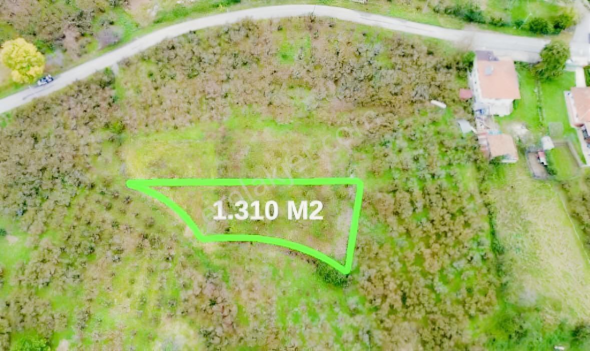 Karasu Mahallesinde Satılık 1.310 M² Fındık Bahçesi — fotoğraf 3