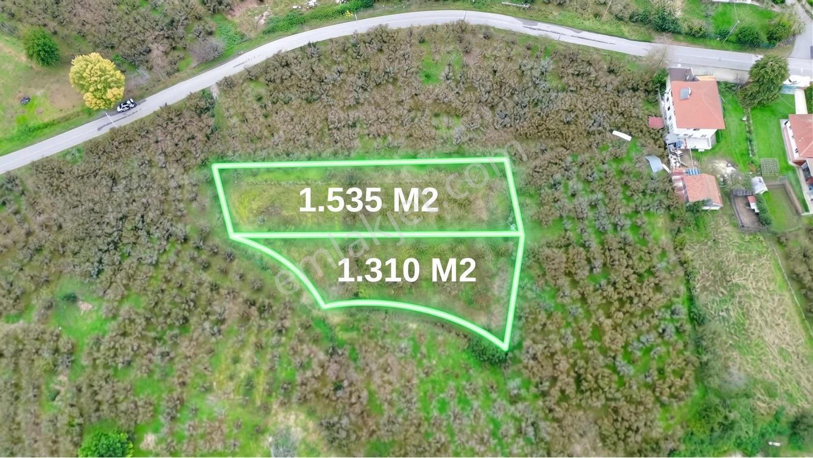 Karasu Mahallesinde Satılık 1.310 M² Fındık Bahçesi — fotoğraf 4