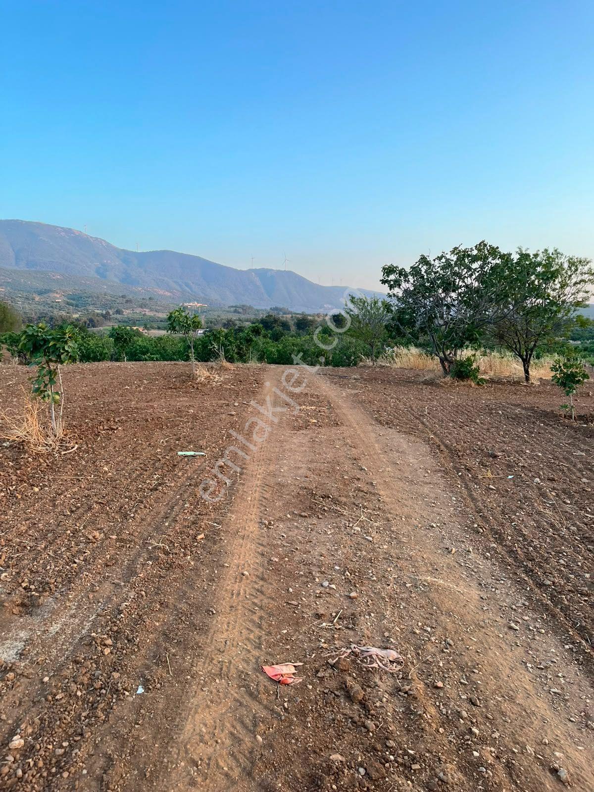 İzmir Selçukta İçerisinde İncir Ağaçları Bulunan Satılık Arsa — fotoğraf 2