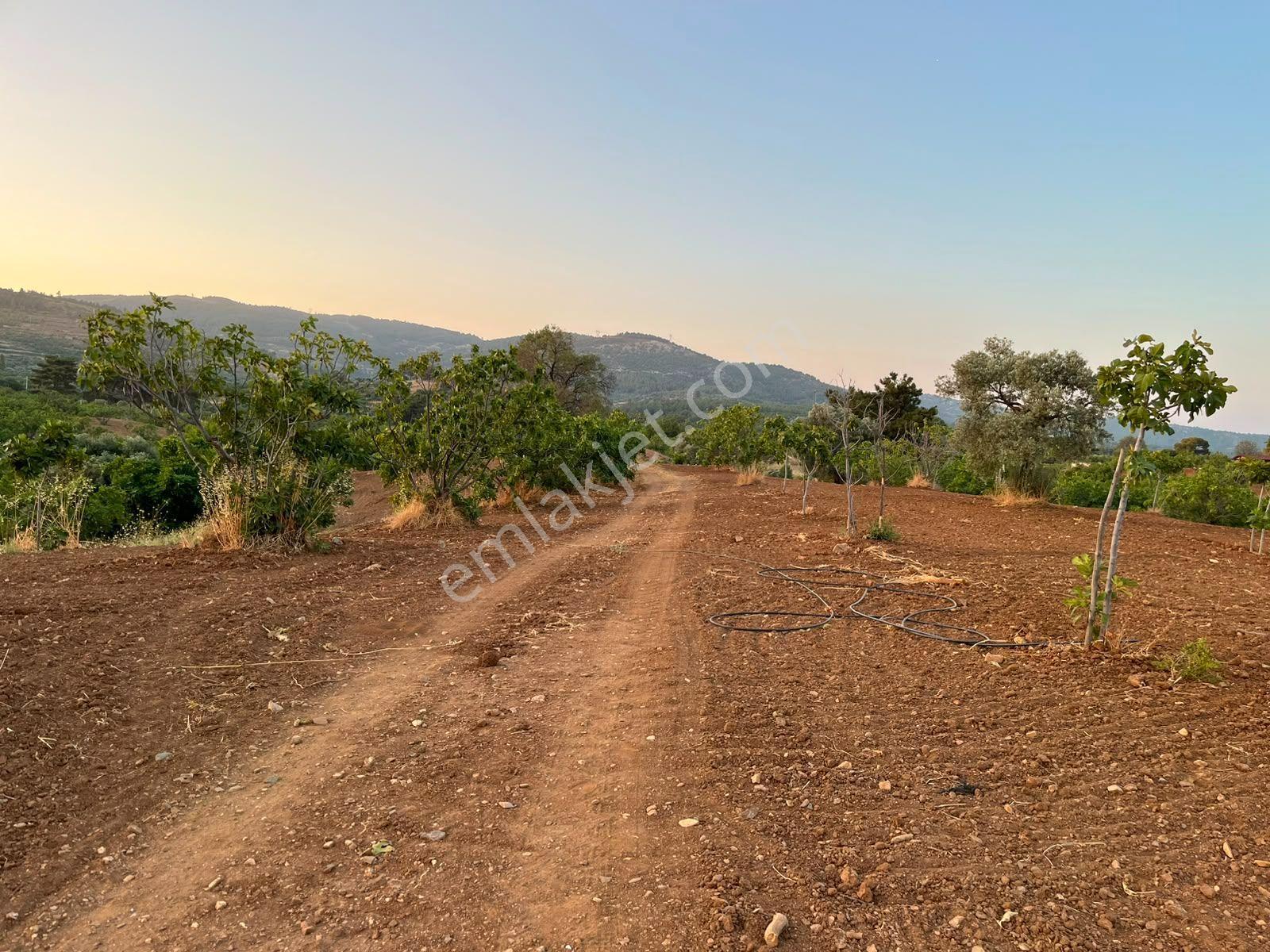 İzmir Selçukta İçerisinde İncir Ağaçları Bulunan Satılık Arsa — fotoğraf 7