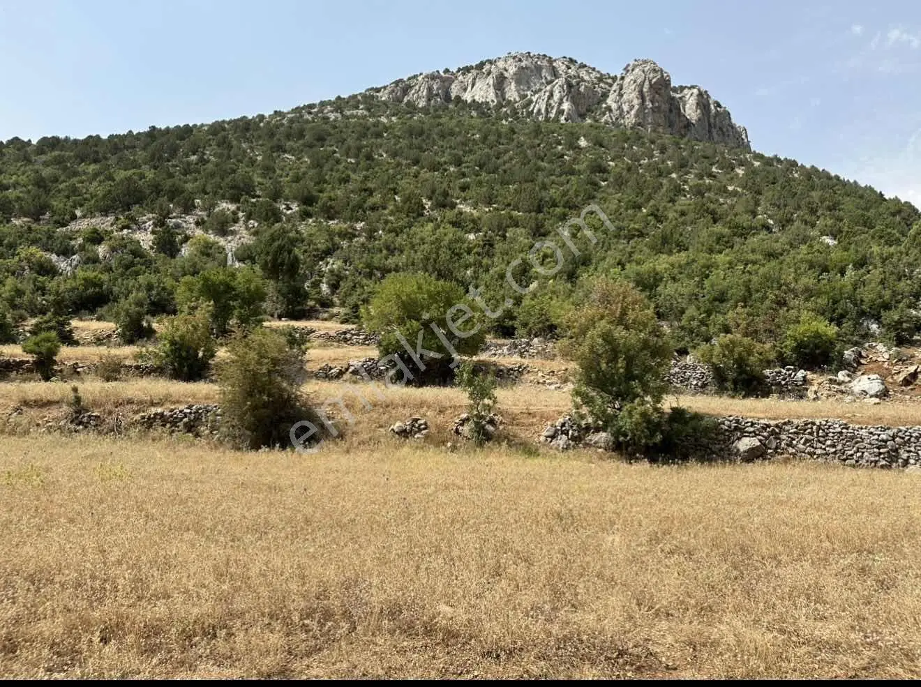 Akseki Çimi Mahallesinde, Yayla Yolu Üzerinde 4.532 M² Tarla
