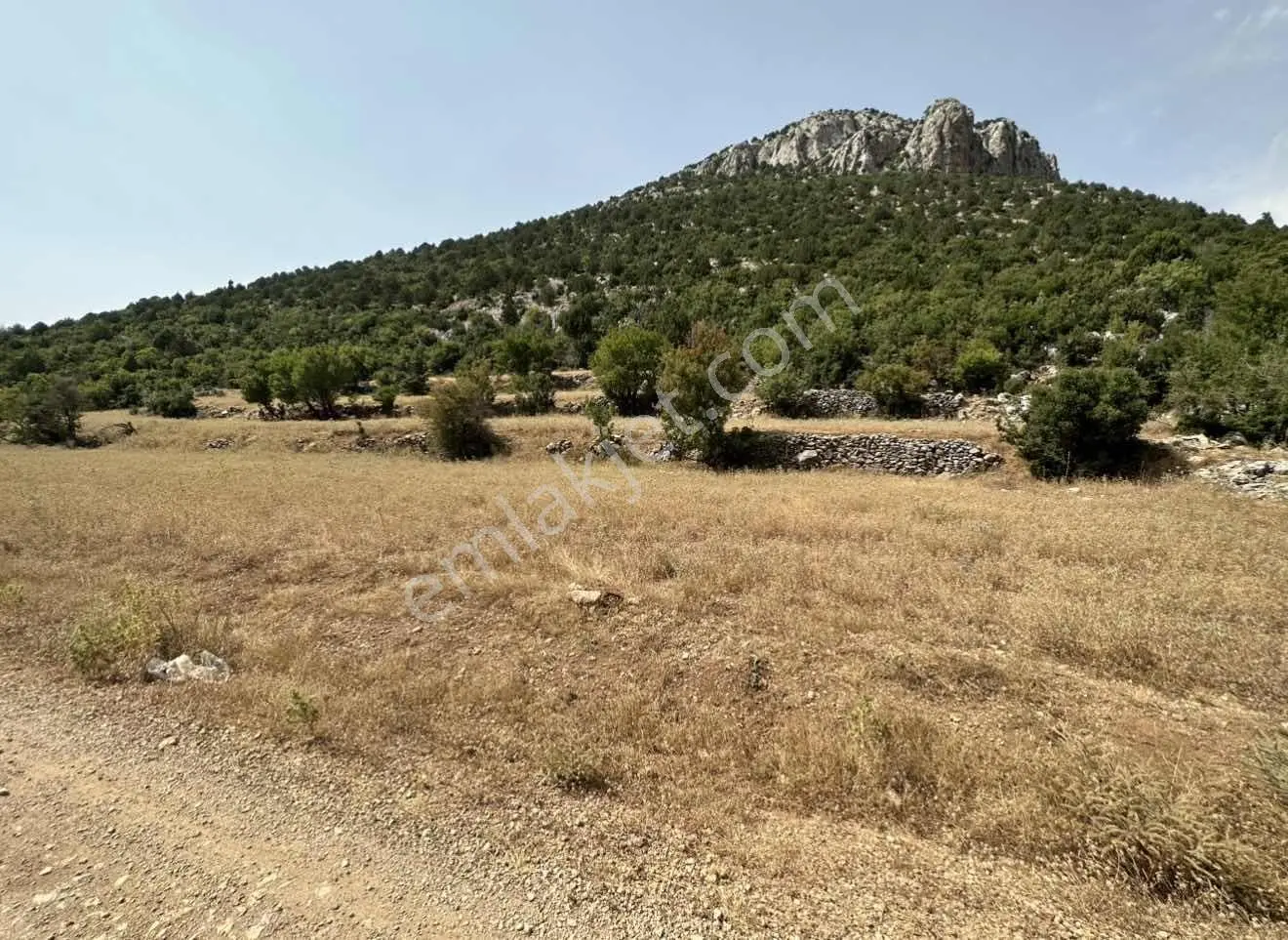 Akseki Çimi Mahallesinde, Yayla Yolu Üzerinde 4.532 M² Tarla — fotoğraf 3