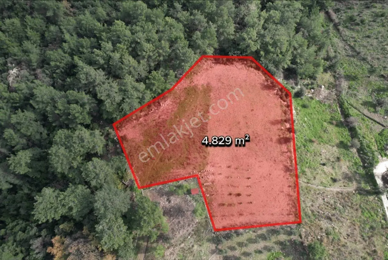 Msi Gayrimenkul'den Olympos Yazırda Satılık Müstakil Tarla — fotoğraf 2