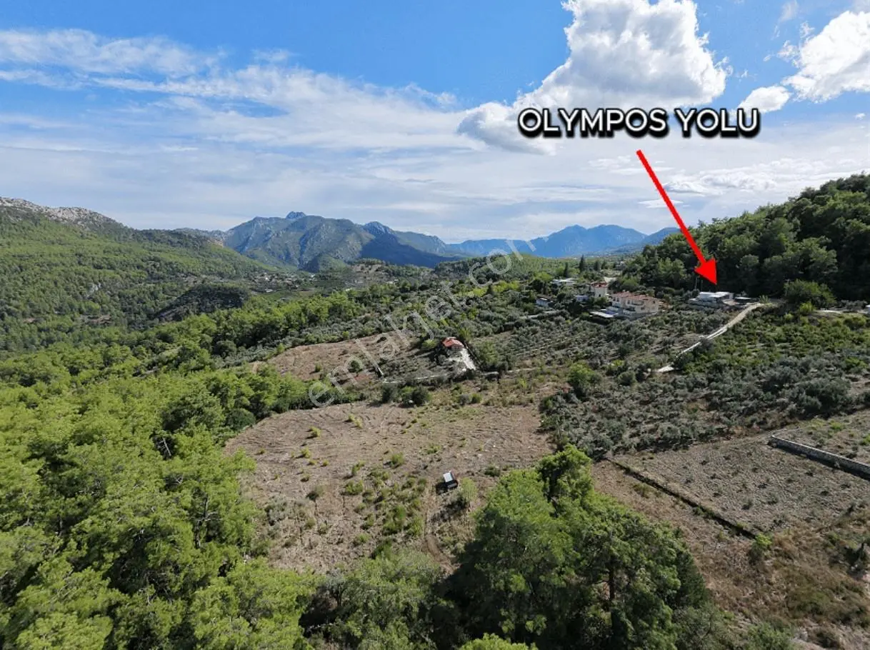 Msi Gayrimenkul'den Olympos Yazırda Satılık Müstakil Tarla — fotoğraf 3