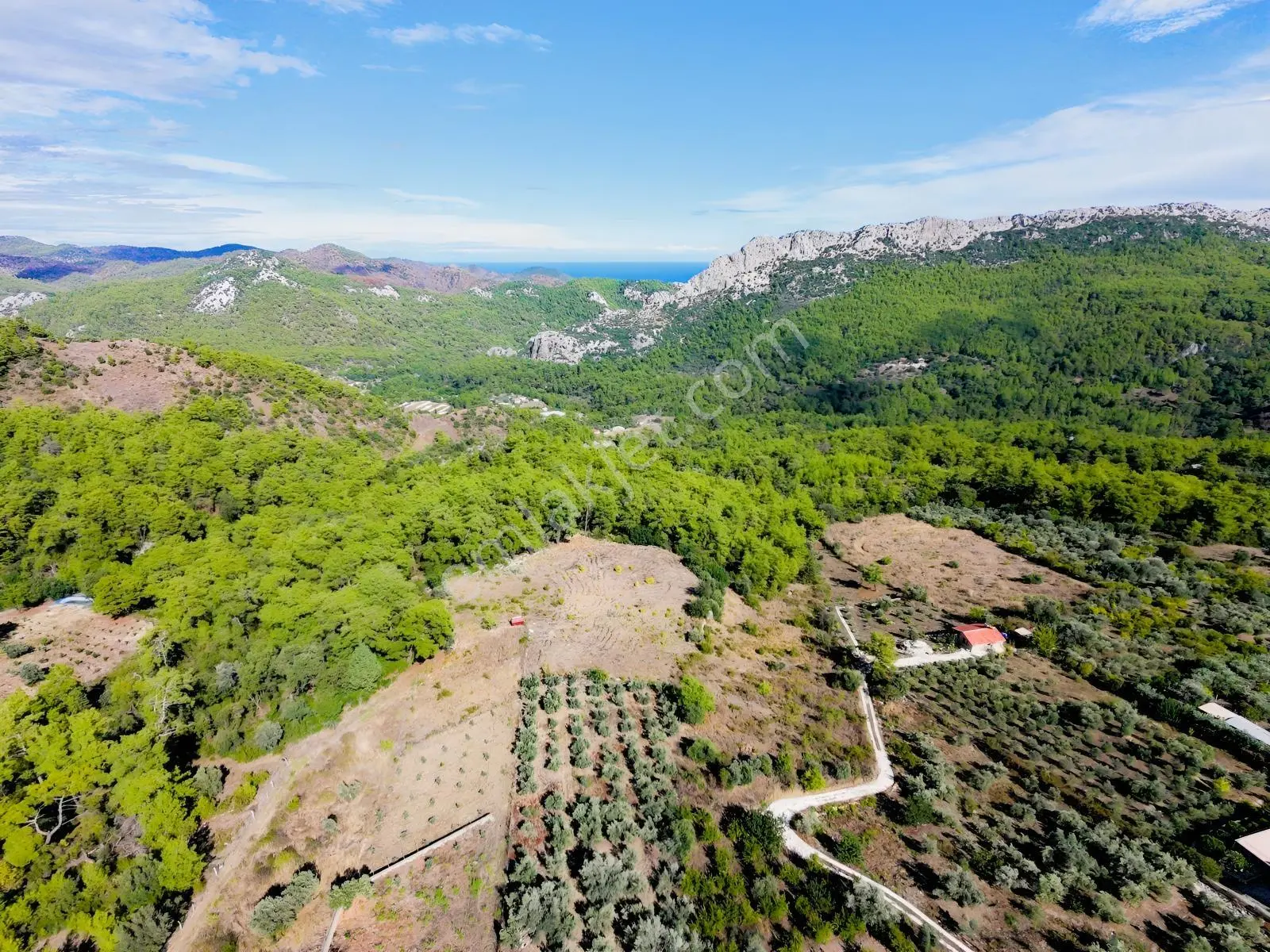 Msi Gayrimenkul'den Olympos Yazırda Satılık Müstakil Tarla — fotoğraf 5