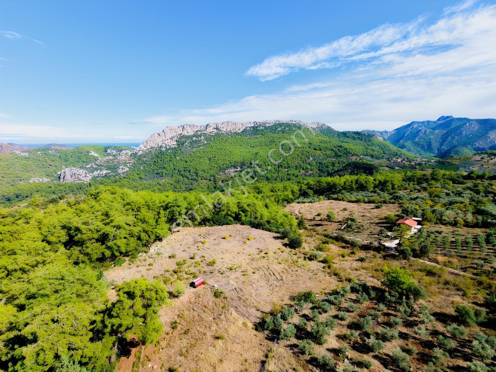 Msi Gayrimenkul'den Olympos Yazırda Satılık Müstakil Tarla — fotoğraf 6