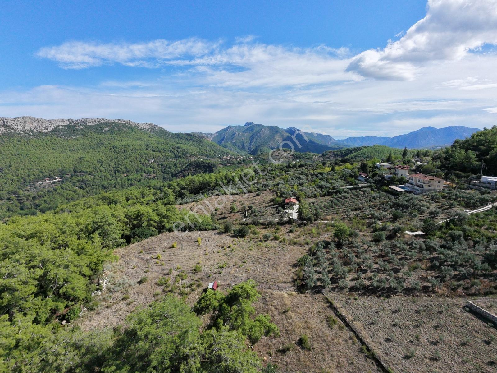 Msi Gayrimenkul'den Olympos Yazırda Satılık Müstakil Tarla — fotoğraf 7